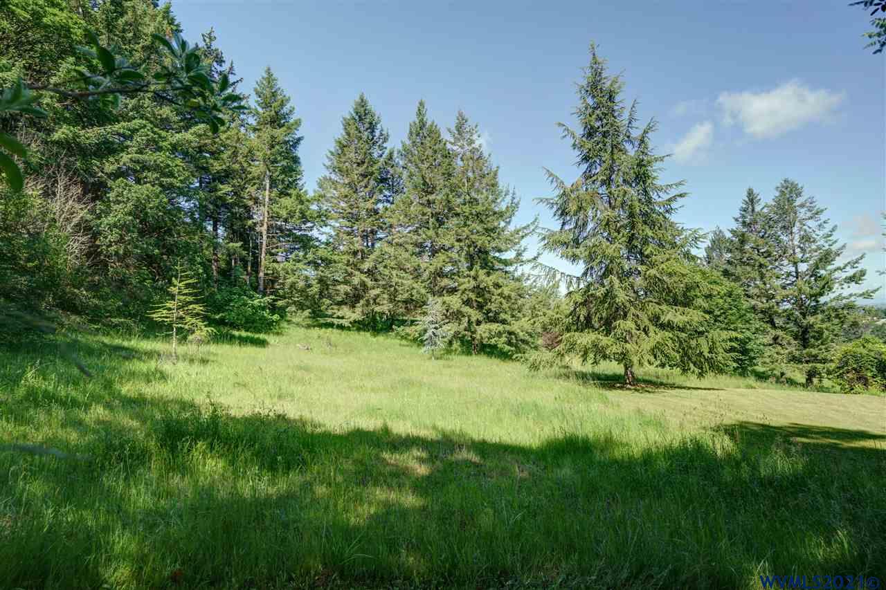 4238 Riverdale Road South Salem, OR 97302 - Photo 39 of 42