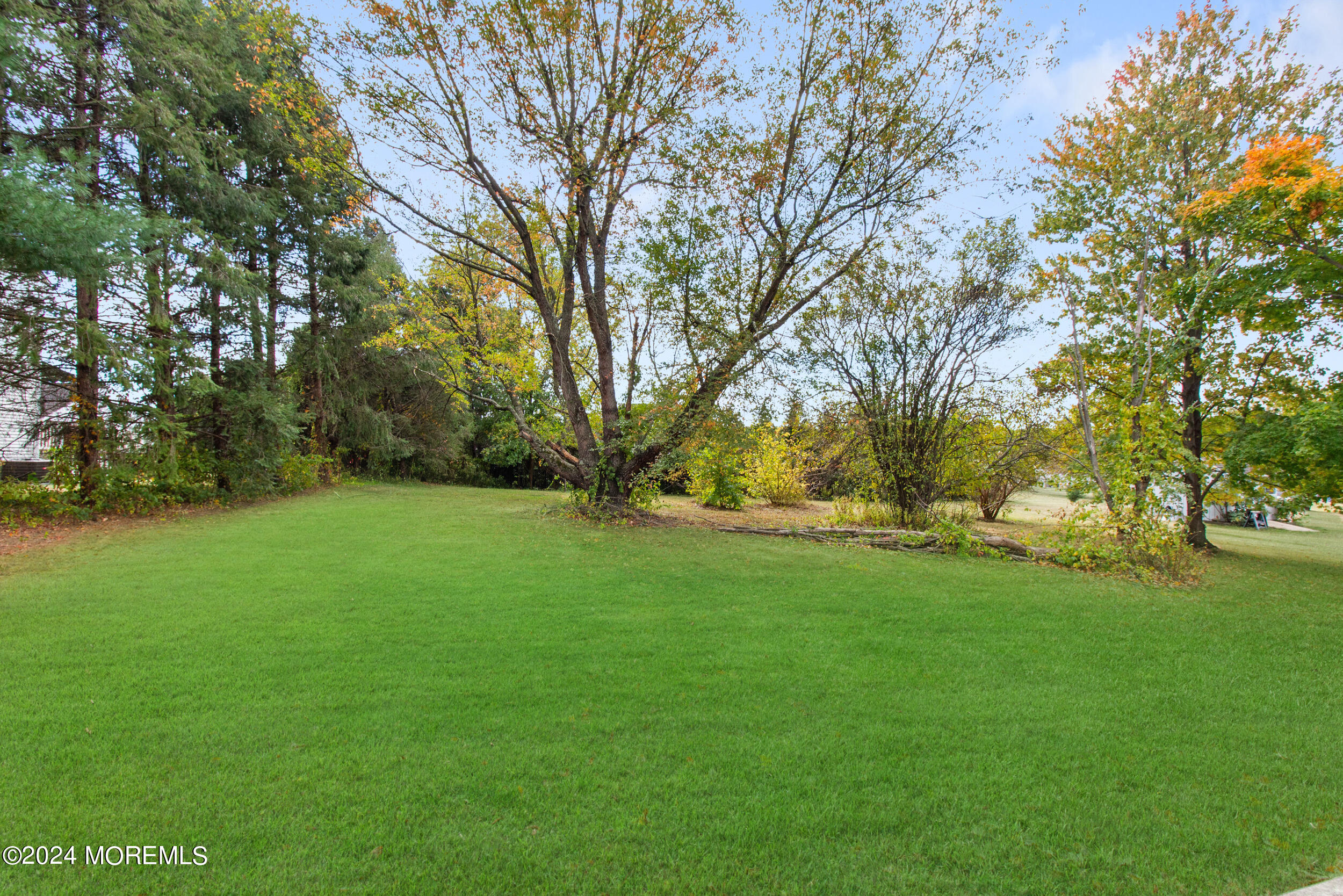 57 Quaker Road Mickleton, NJ 08056 - Photo 40 of 41 a view of a field with trees