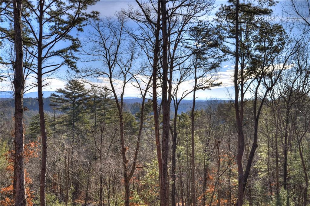 142 Red Oak Trail Ellijay, GA 30540 - Photo 37 of 63