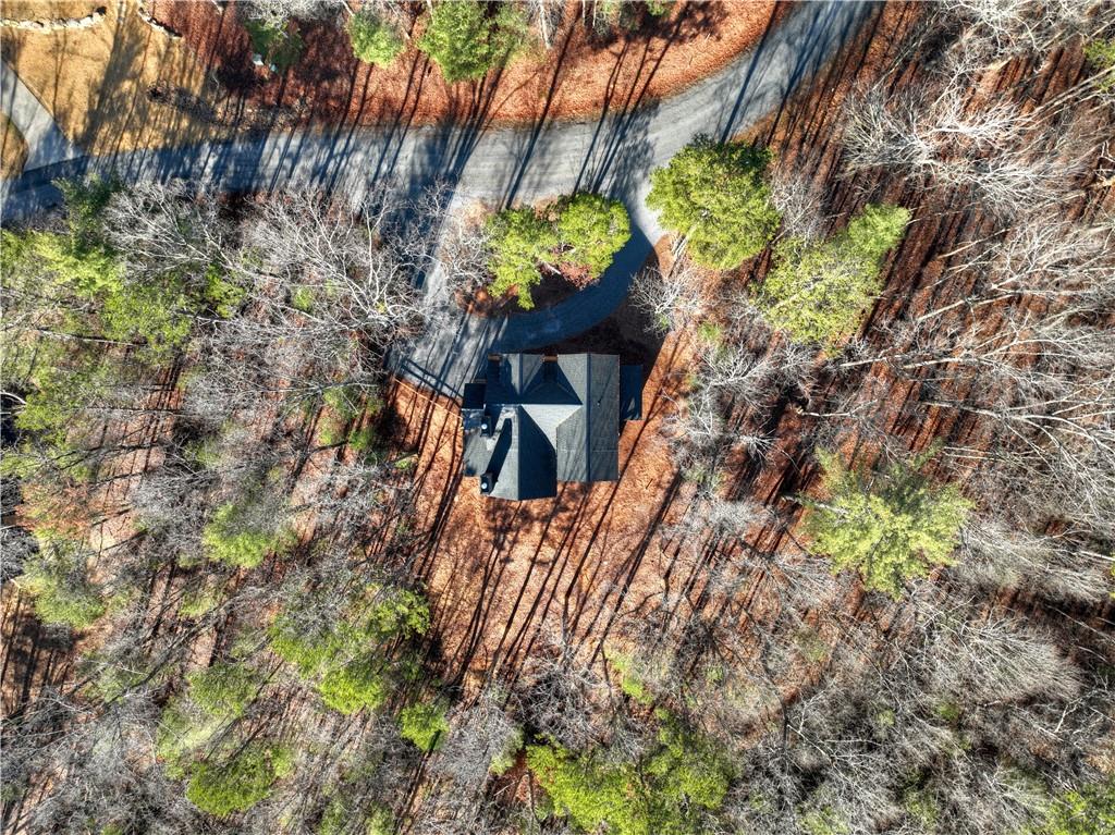 142 Red Oak Trail Ellijay, GA 30540 - Photo 53 of 63 a view of a house with a tree