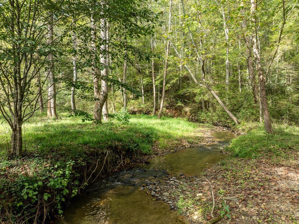 142 Red Oak Trail Ellijay, GA 30540 - Photo 60 of 63 a view of a garden with a tree