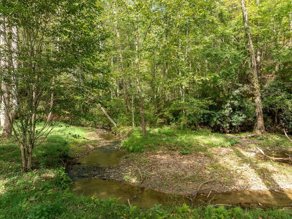 142 Red Oak Trail Ellijay, GA 30540 - Photo 62 of 63 a view of a yard with a tree