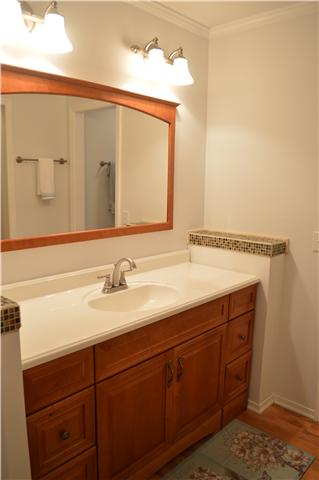 208 Turtle Neck Road Fairview, TN 37062 - Photo 11 of 20 a bathroom with a sink and a mirror