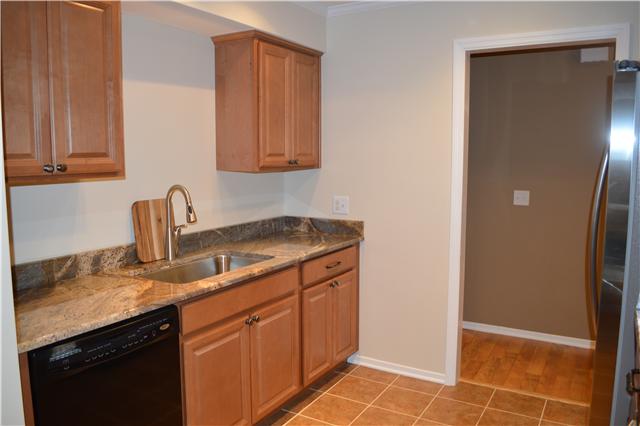 208 Turtle Neck Road Fairview, TN 37062 - Photo 7 of 20 a kitchen with granite countertop a sink and cabinets