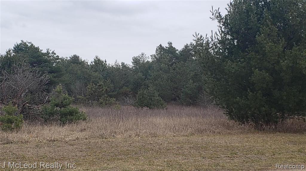 0 Kile Road Vassar, MI 48768 - Photo 3 of 6