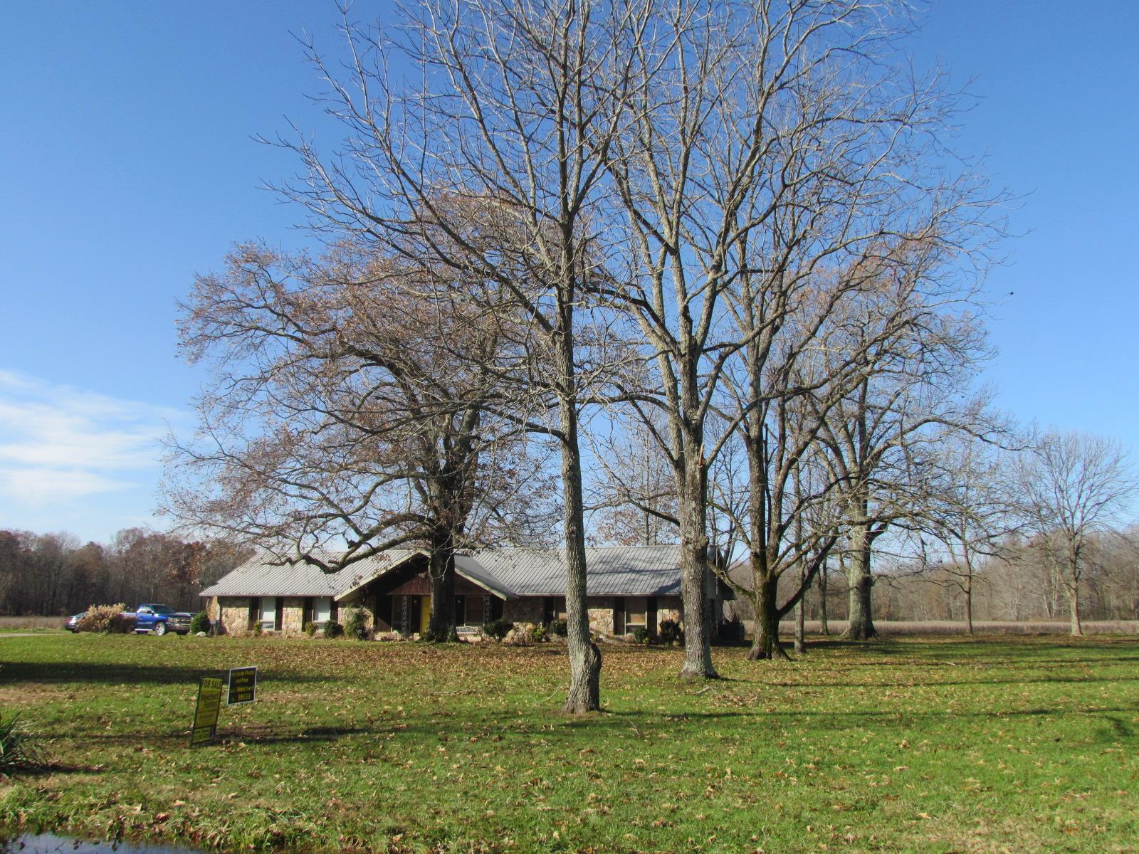 510 Bush Road Manchester, TN 37355 - Photo 2 of 21 a view of yard with tree s
