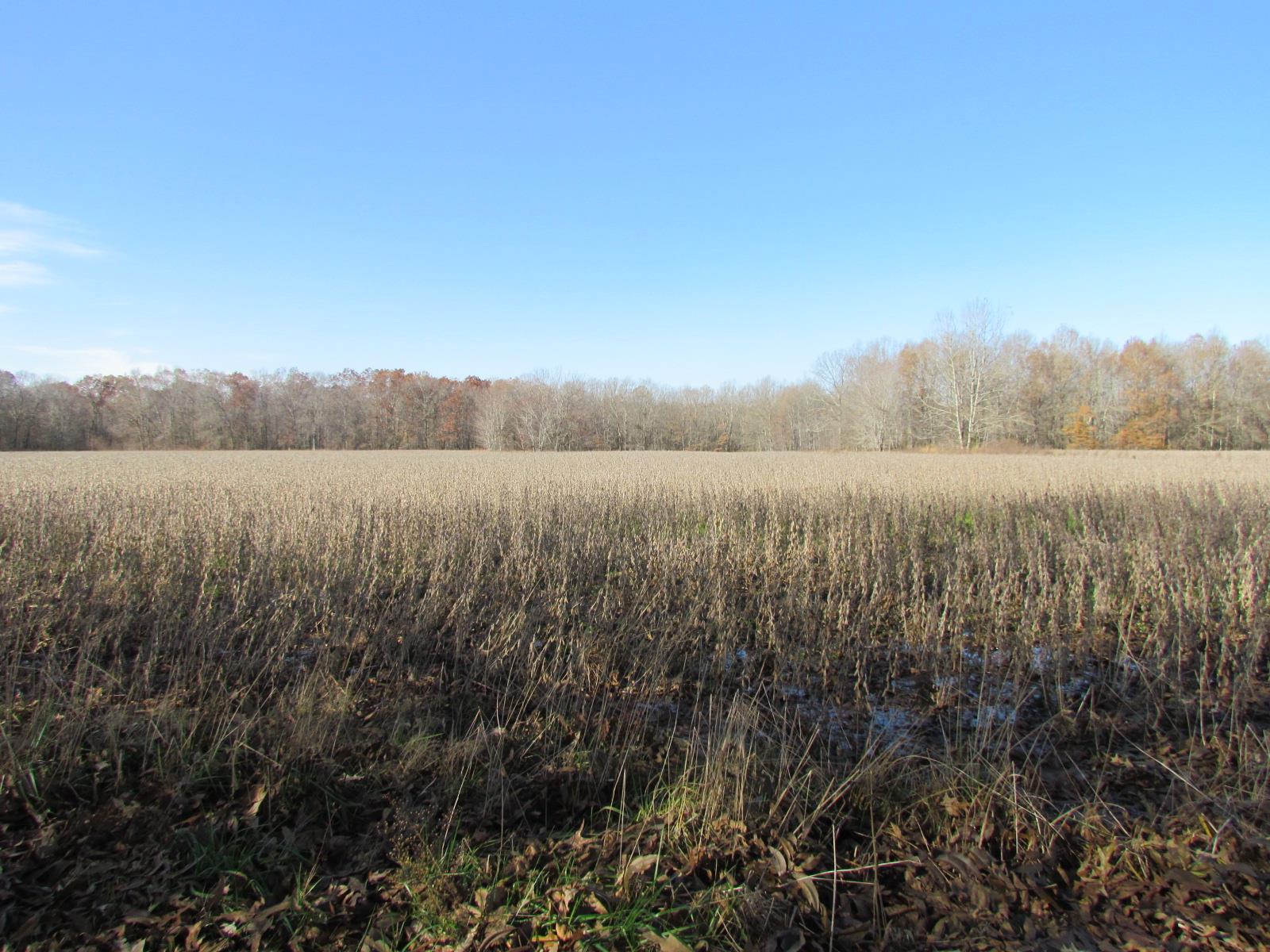510 Bush Road Manchester, TN 37355 - Photo 21 of 21 a view of an mountain and yard