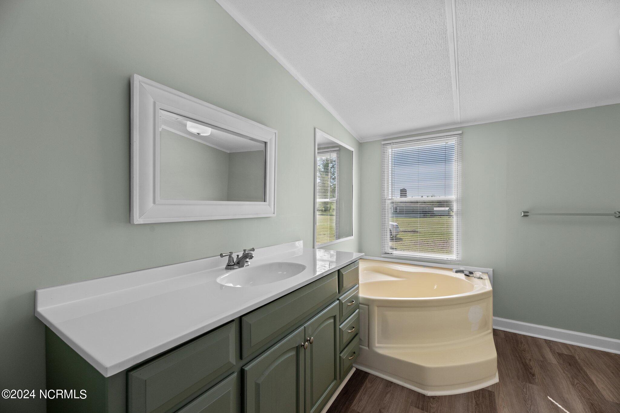 516 Cicero Riggs Road Cove City, NC 28523 - Photo 14 of 23 Master Bathroom View