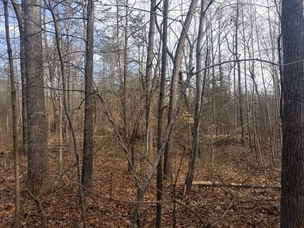 Spring Grove Road, Unit 7 Spout Spring, VA 24593 - Photo 2 of 3 Gallery Image 2