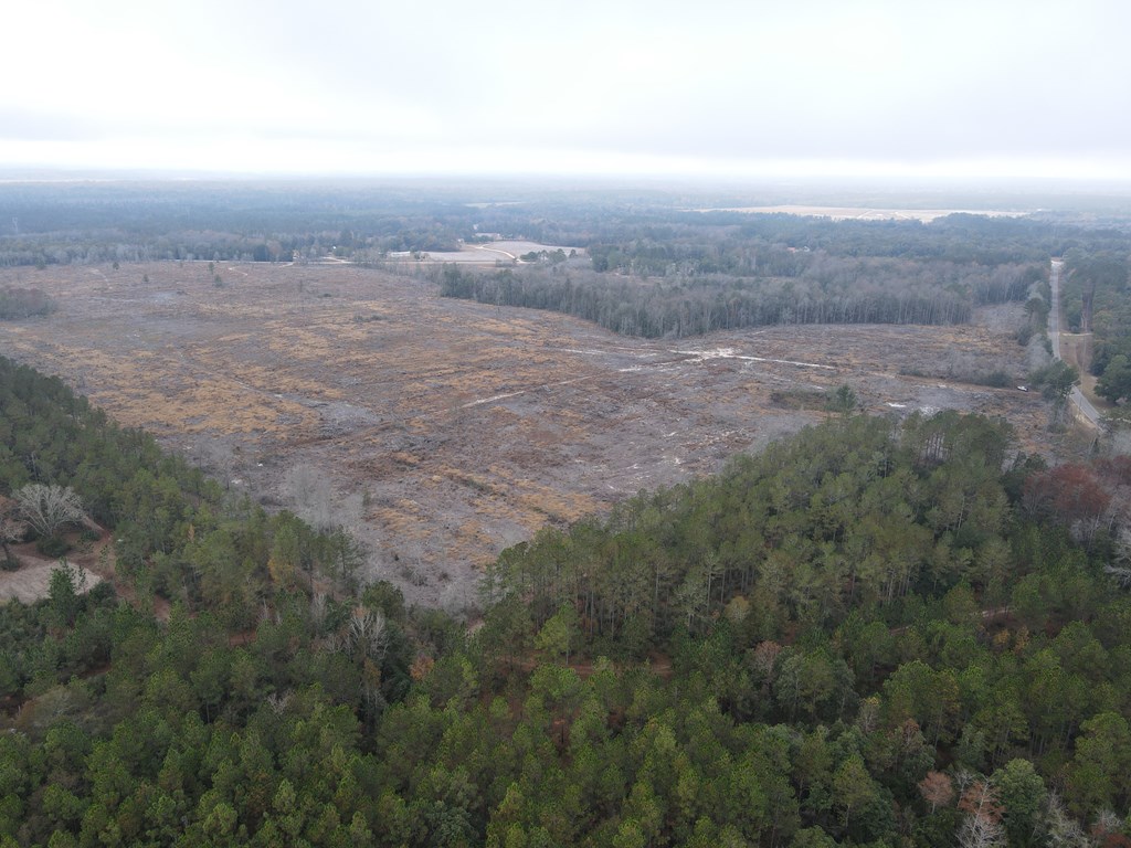24-acres Goat Hill Road Samson, AL 36477 - Photo 4 of 10