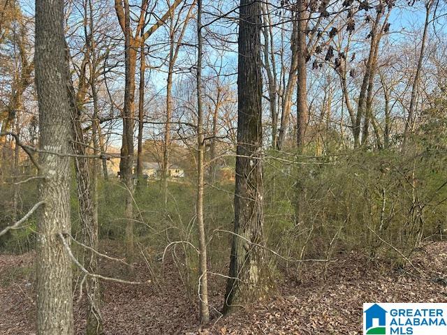 9 North Airport Road, Unit 7 Jasper, AL 35501 - Photo 3 of 4