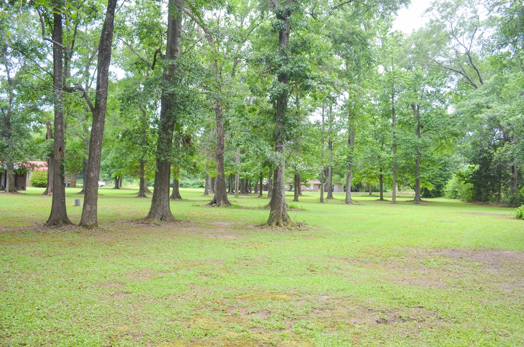 225 Royce Lane Dothan, AL 36305 - Photo 23 of 31