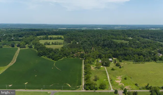 a view of a garden with a lake