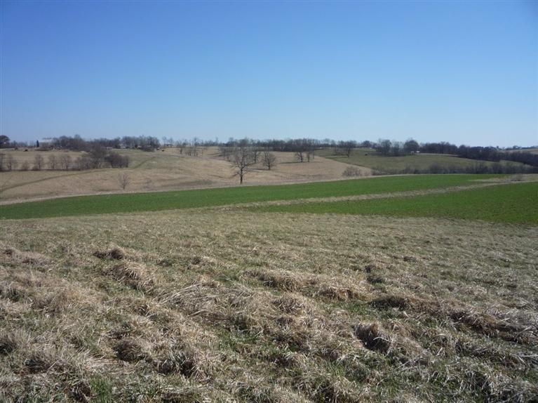 3585 Steele Road Versailles, KY 40383 - Photo 18 of 19 Photo 18