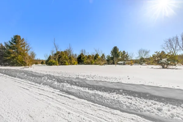 $18,000 | 0 Rockford Street, Thompsonville, MI 49683
