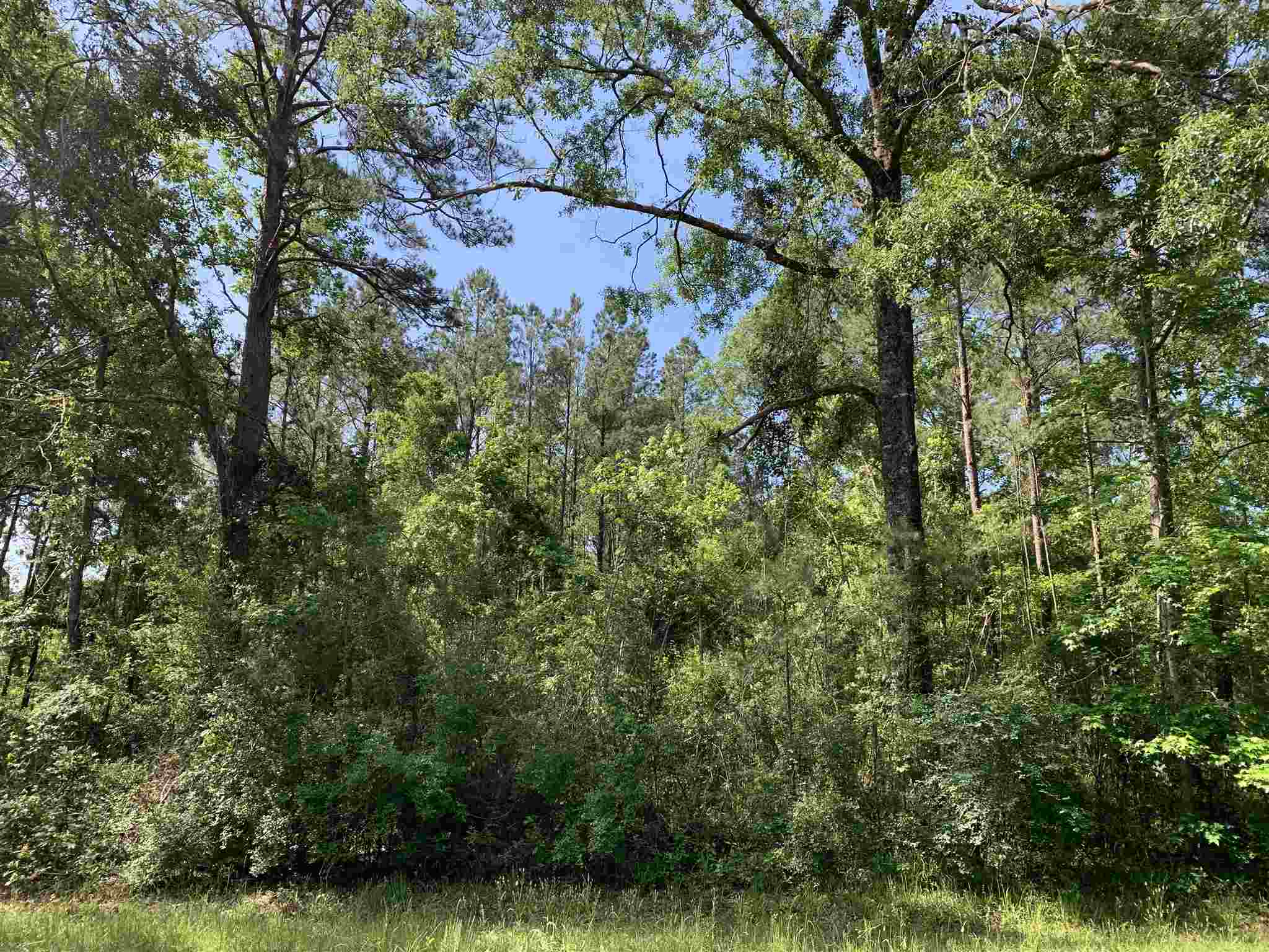 15824 Pne Grv Rd Extension North Bay Minette, AL 36507 - Photo 4 of 4