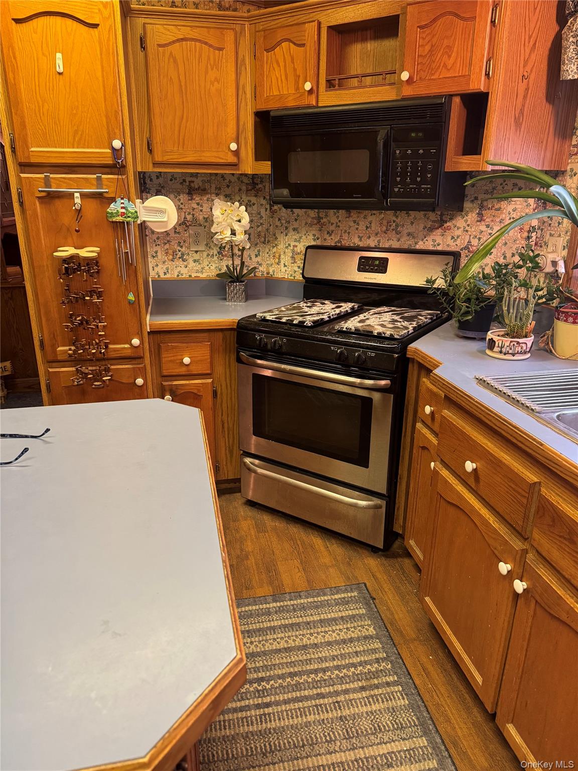 165 Benton Hollow Road Livingston Manor, NY 12758 - Photo 2 of 18 a kitchen with stainless steel appliances a stove a sink and a microwave