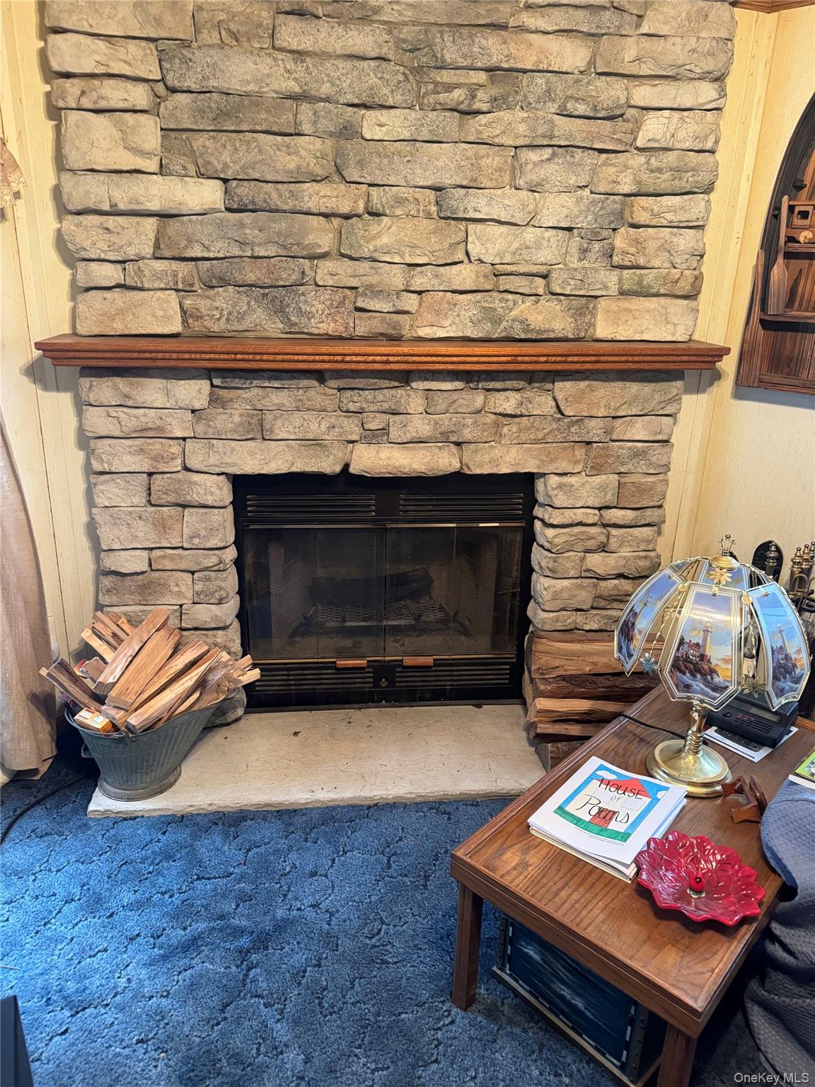 165 Benton Hollow Road Livingston Manor, NY 12758 - Photo 4 of 18 a living room with furniture and a fireplace