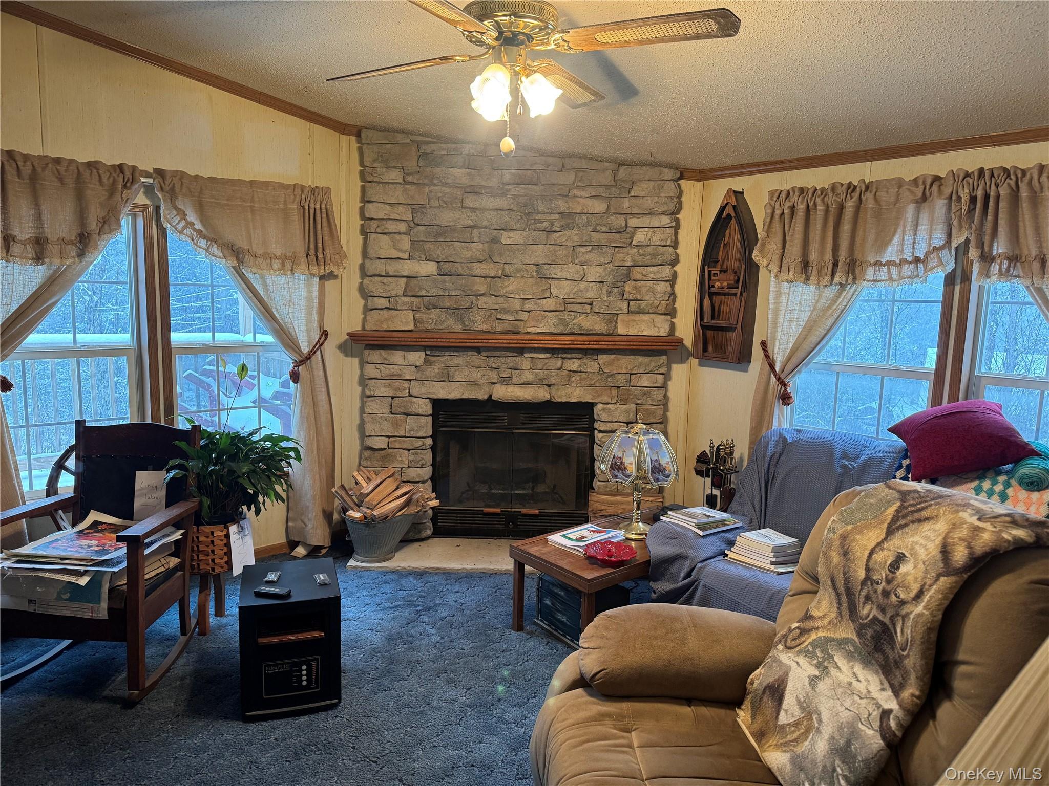 165 Benton Hollow Road Livingston Manor, NY 12758 - Photo 5 of 18 a living room with furniture and a fireplace