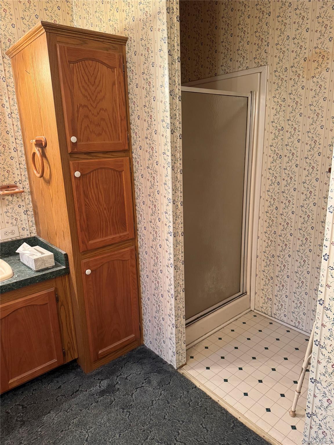 165 Benton Hollow Road Livingston Manor, NY 12758 - Photo 9 of 18 a view of a storage & utility room