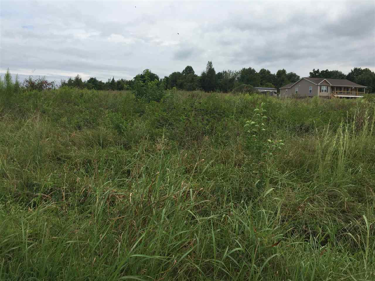 60 State Rd S-42-3002 Campobello, SC 29322 - Photo 3 of 4