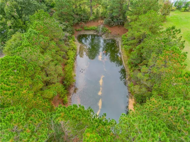 $260,000 | 2656 Ware Street, Blackshear, GA 31516