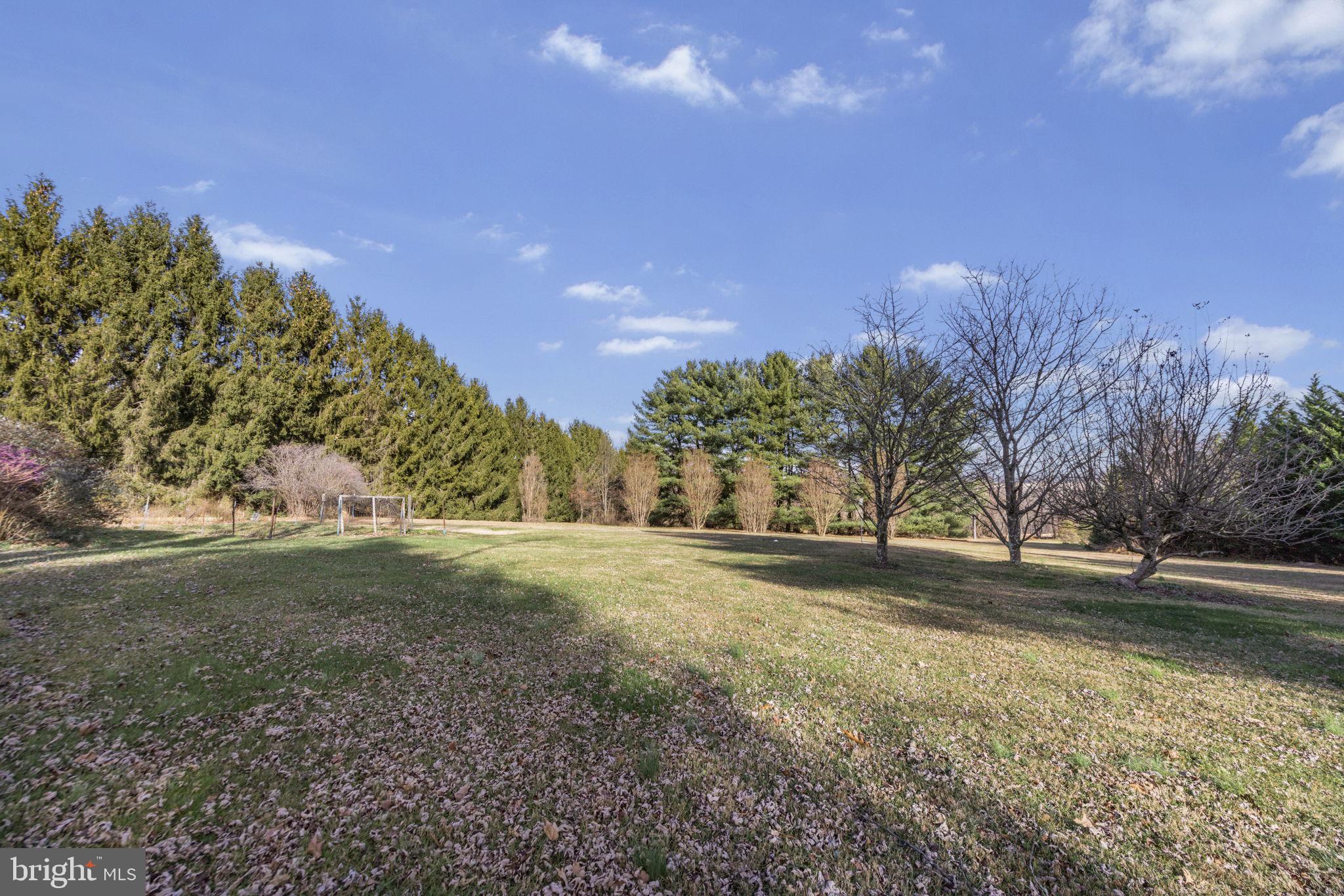 21315 Ridge Road Freeland, MD 21053 - Photo 53 of 69 a view of dirt yard with large trees