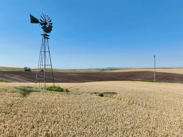 $480,000 | Tbd Central Ridge Road, Craigmont, ID 83523