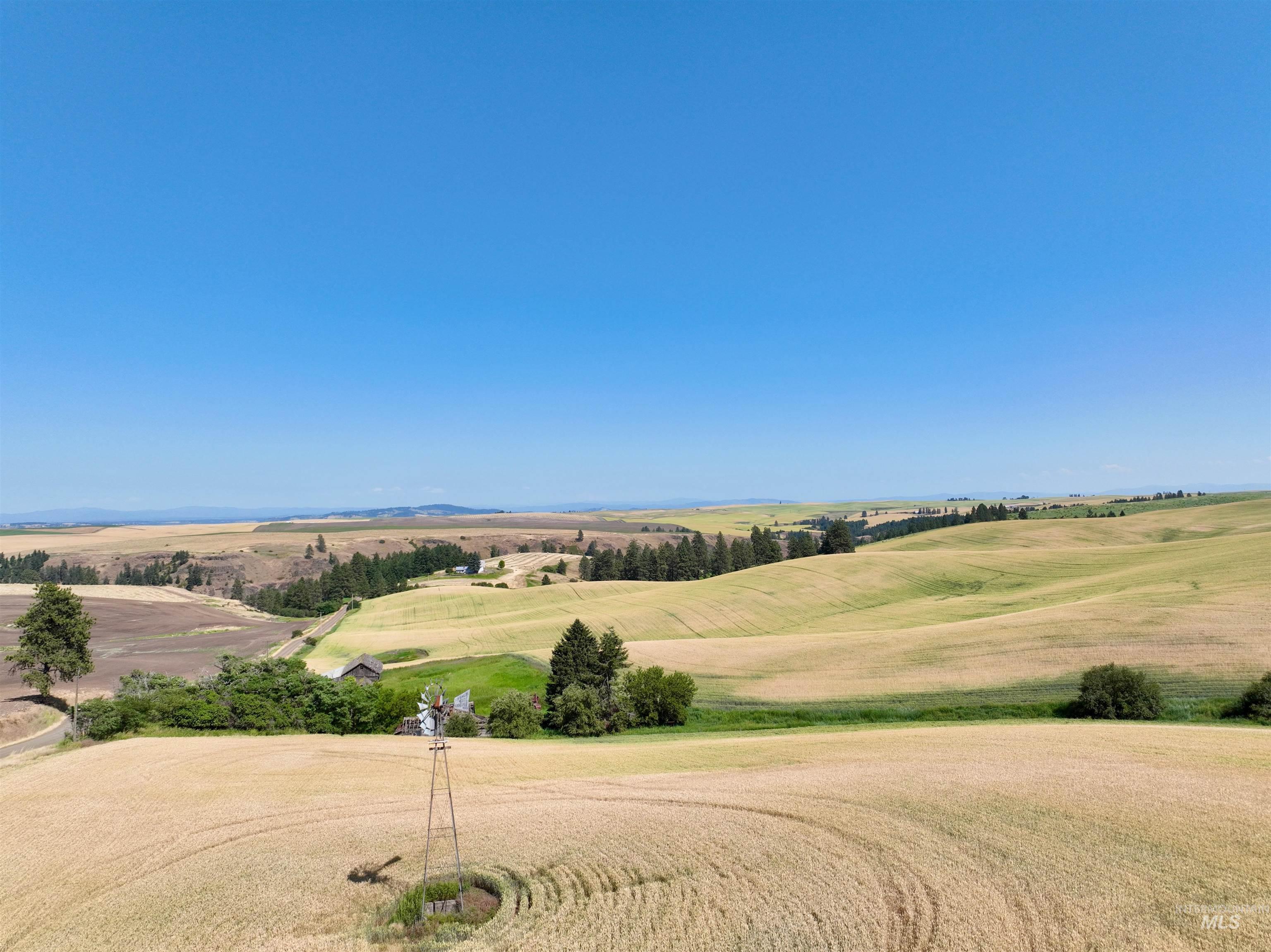 Tbd Central Ridge Road Craigmont, ID 83523 - Photo 16 of 37