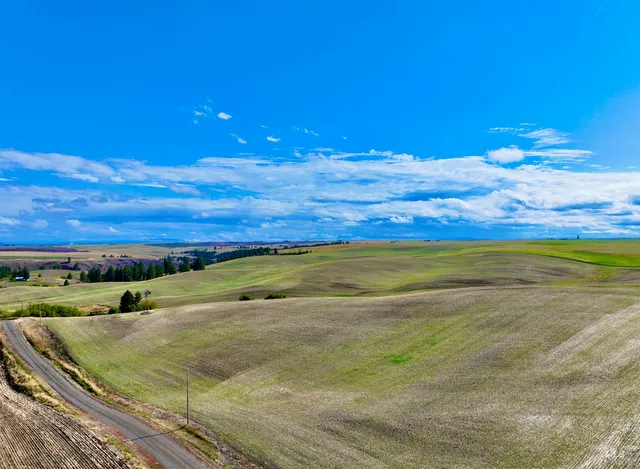 $480,000 | Tbd Central Ridge Road, Craigmont, ID 83523