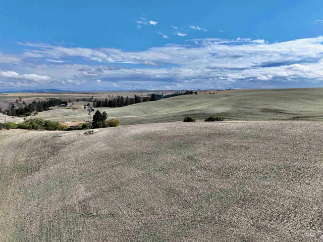 $480,000 | Tbd Central Ridge Road, Craigmont, ID 83523