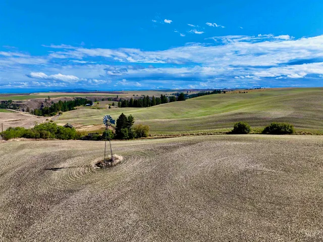 $480,000 | Tbd Central Ridge Road, Craigmont, ID 83523