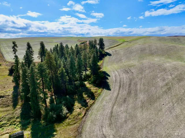 $480,000 | Tbd Central Ridge Road, Craigmont, ID 83523