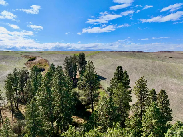 $480,000 | Tbd Central Ridge Road, Craigmont, ID 83523
