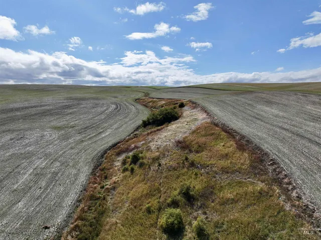 $480,000 | Tbd Central Ridge Road, Craigmont, ID 83523