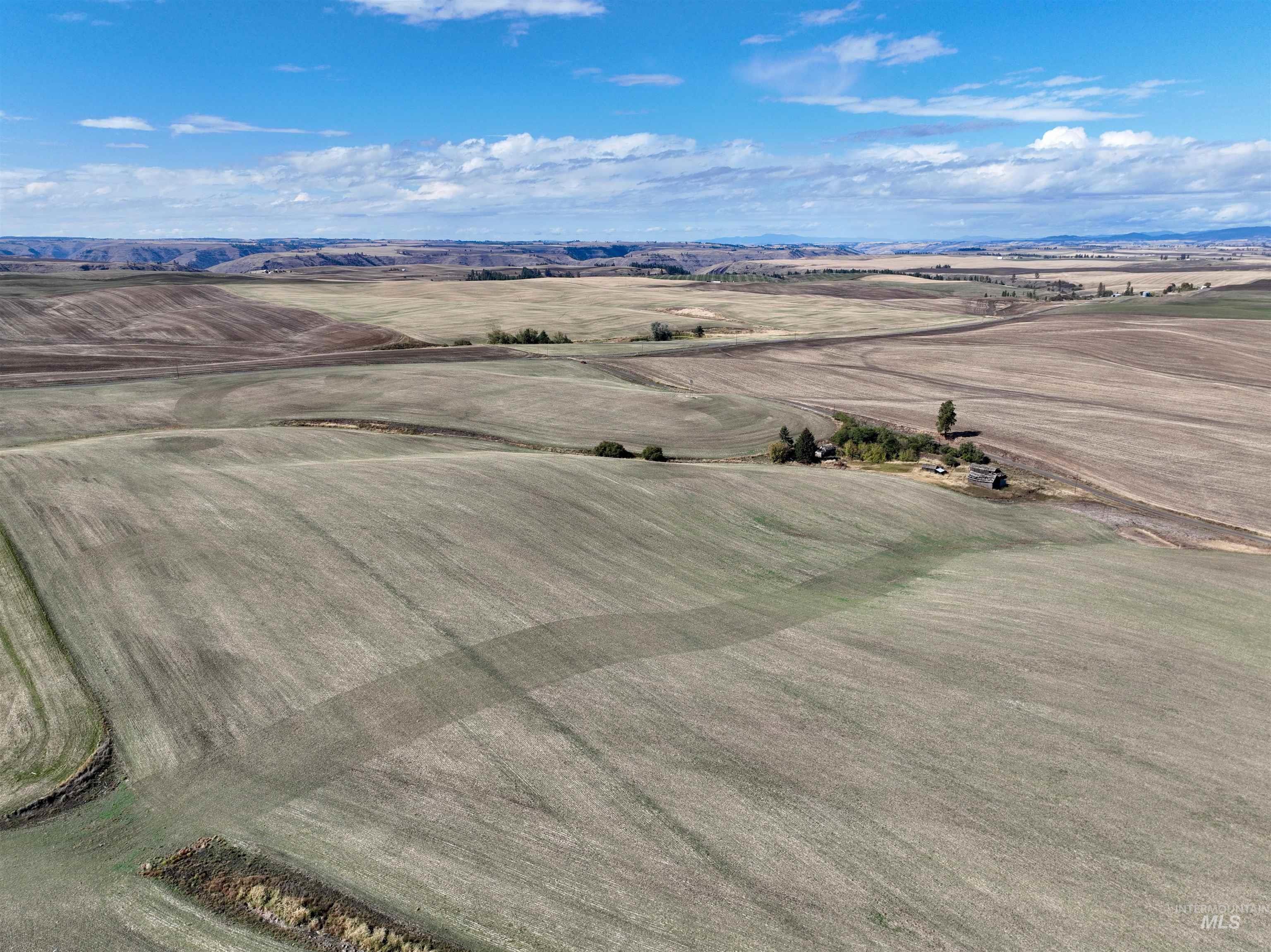 Tbd Central Ridge Road Craigmont, ID 83523 - Photo 32 of 37 View of rural area