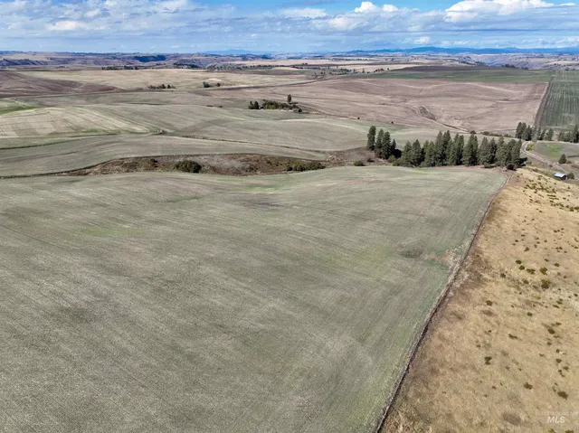 $480,000 | Tbd Central Ridge Road, Craigmont, ID 83523