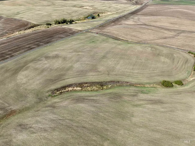 $480,000 | Tbd Central Ridge Road, Craigmont, ID 83523