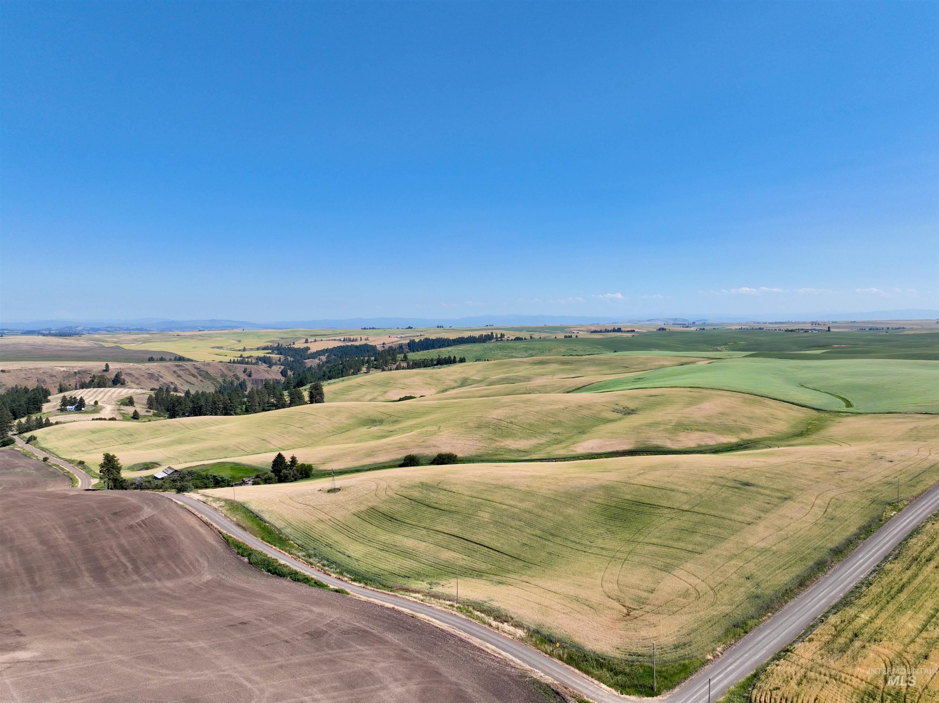 Tbd Central Ridge Road Craigmont, ID 83523 - Photo 5 of 37