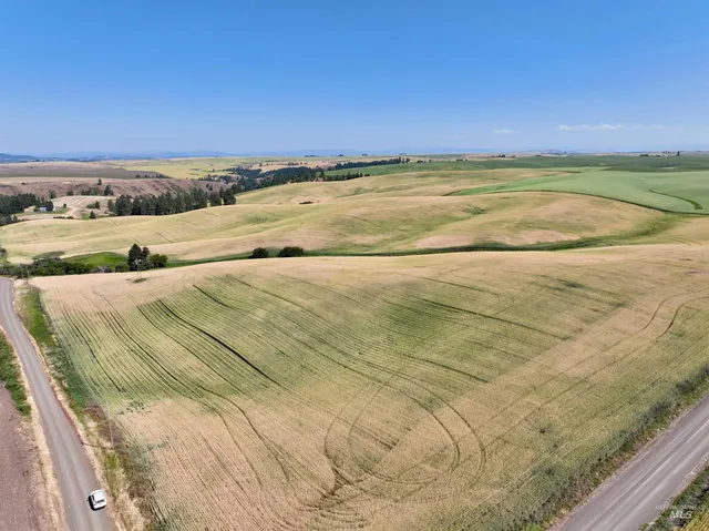 $480,000 | Tbd Central Ridge Road, Craigmont, ID 83523