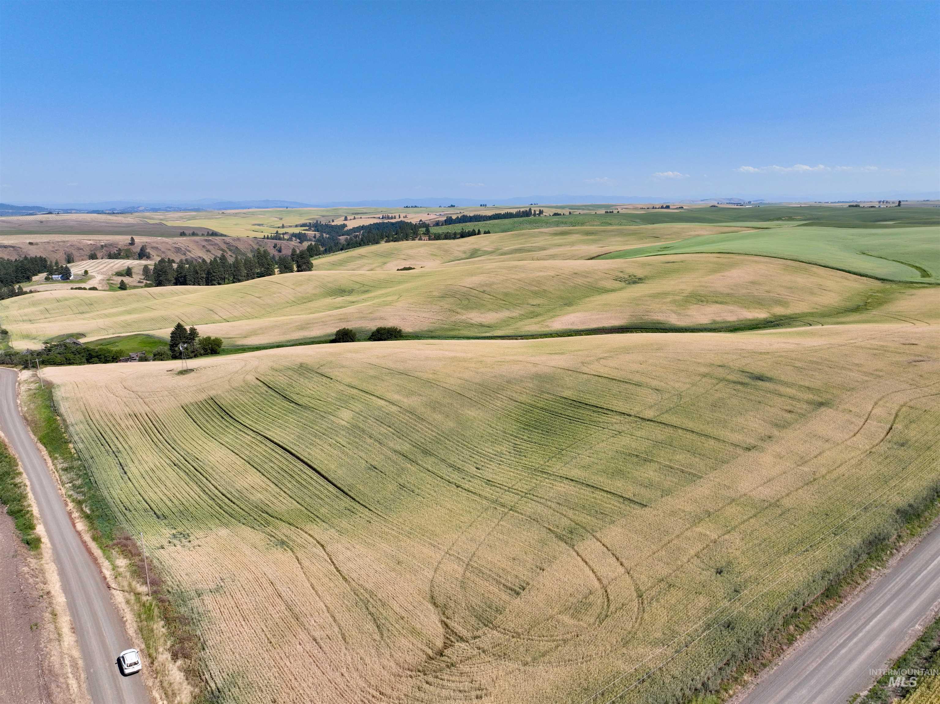 Tbd Central Ridge Road Craigmont, ID 83523 - Photo 6 of 37