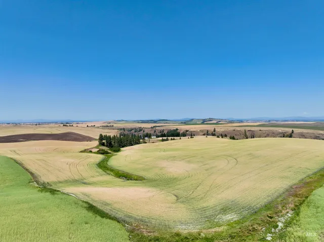 $480,000 | Tbd Central Ridge Road, Craigmont, ID 83523