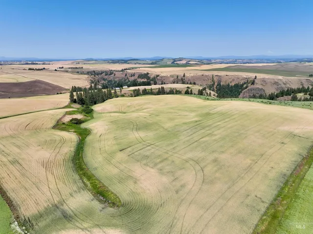 $480,000 | Tbd Central Ridge Road, Craigmont, ID 83523