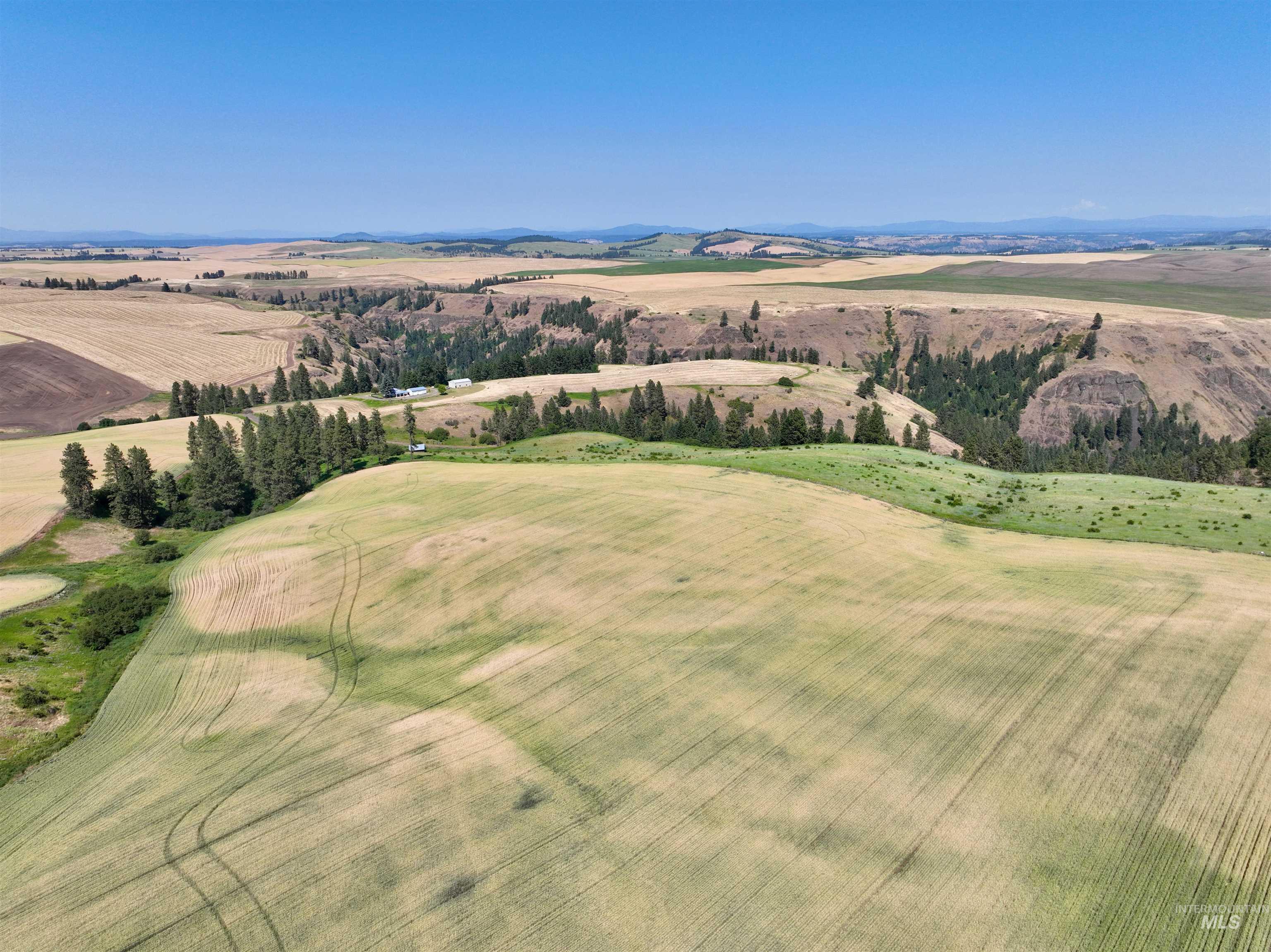 Tbd Central Ridge Road Craigmont, ID 83523 - Photo 9 of 37