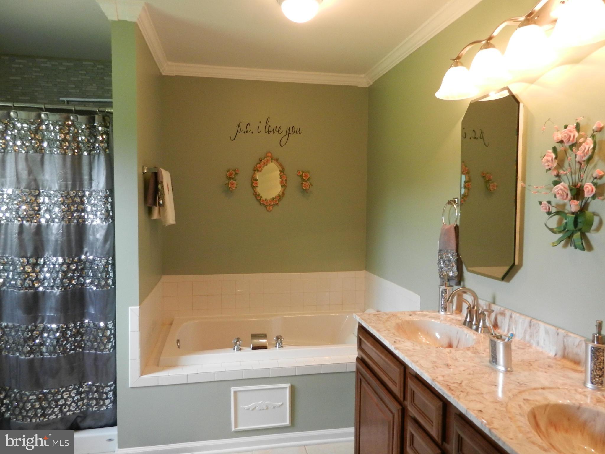 5769 Balls Mill Road Midland, VA 22728 - Photo 12 of 24 Bath (Master)