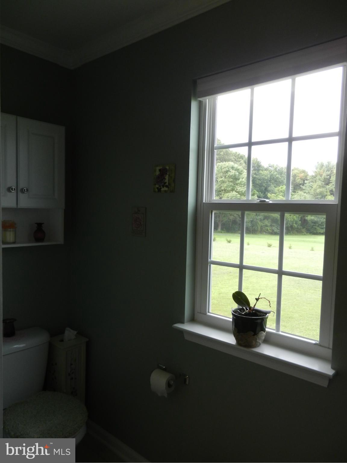 5769 Balls Mill Road Midland, VA 22728 - Photo 13 of 24 Bath (Master)