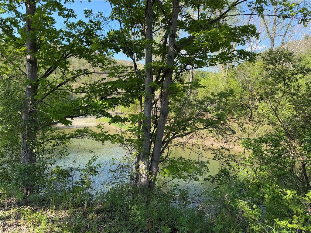 Lot 3 McChesney Road Cameron, NY 14819 - Photo 4 of 21