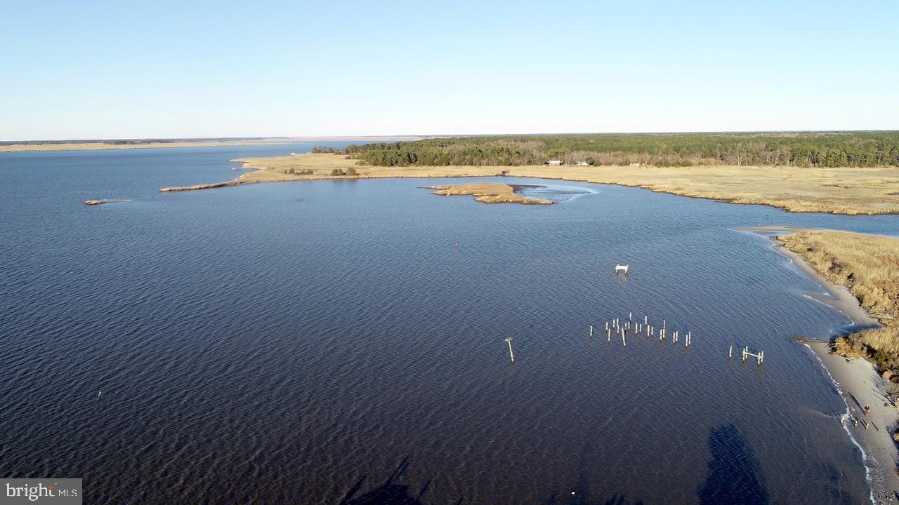 4725 Tyaskin Road Tyaskin, MD 21865 - Photo 48 of 67