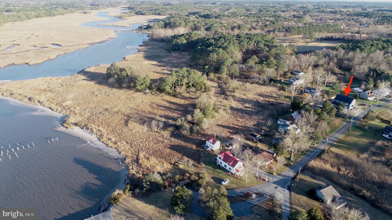 4725 Tyaskin Road Tyaskin, MD 21865 - Photo 49 of 67