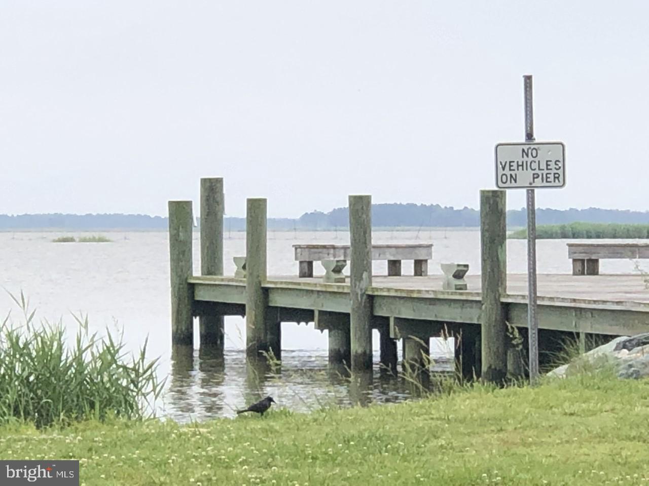 4725 Tyaskin Road Tyaskin, MD 21865 - Photo 51 of 67 Tyaskin dock at end of street